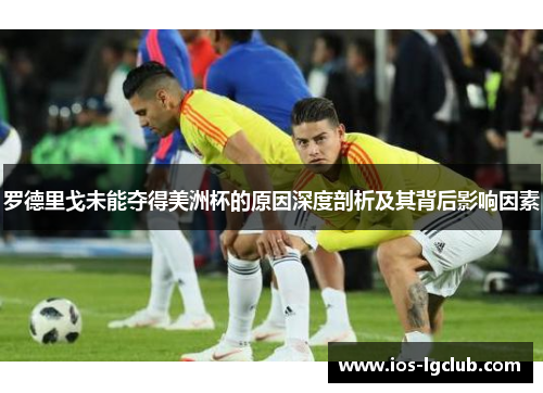 罗德里戈未能夺得美洲杯的原因深度剖析及其背后影响因素