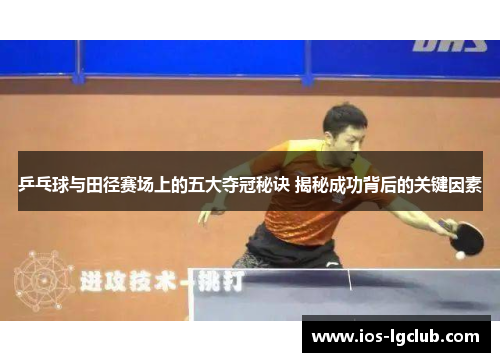 乒乓球与田径赛场上的五大夺冠秘诀 揭秘成功背后的关键因素