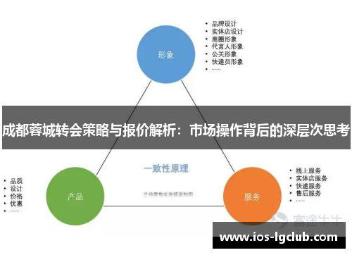 成都蓉城转会策略与报价解析：市场操作背后的深层次思考