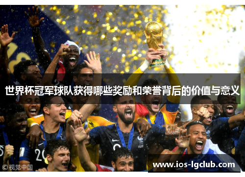 世界杯冠军球队获得哪些奖励和荣誉背后的价值与意义