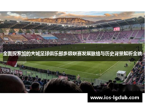 全面探索加的夫城足球俱乐部多级联赛发展脉络与历史背景解析全貌 全面探索加的夫城足球俱乐部多级联赛发展脉络与历史背景解析全貌