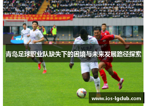 青岛足球职业队缺失下的困境与未来发展路径探索