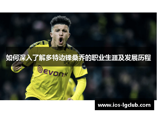 如何深入了解多特边锋桑乔的职业生涯及发展历程