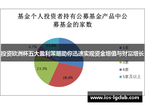 投资欧洲杯五大盈利策略助你迅速实现资金增值与财富增长