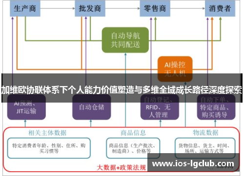 加维欧协联体系下个人能力价值塑造与多维全域成长路径深度探索
